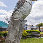 The Kurri Kurri Kookaburra at Rotary Park in Kurri Kurri (1)